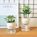 Self-watering Hydro-Flower Pot