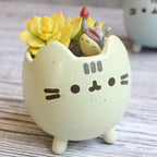 Easy-care Ceramic Garden Box in Box Shape