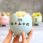 Easy-care Ceramic Garden Box in Box Shape