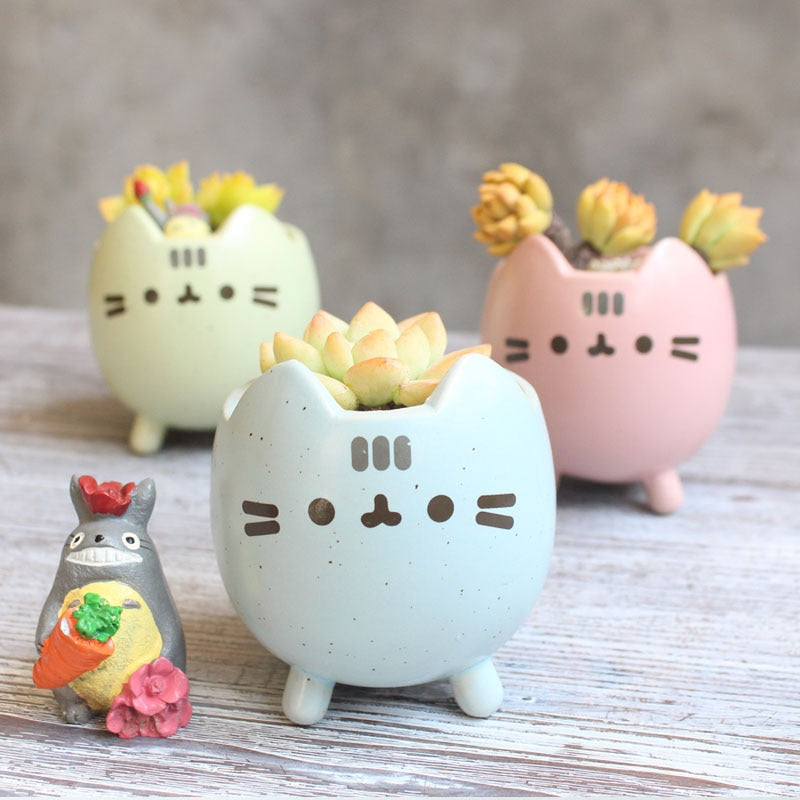Easy-care Ceramic Garden Box in Box Shape