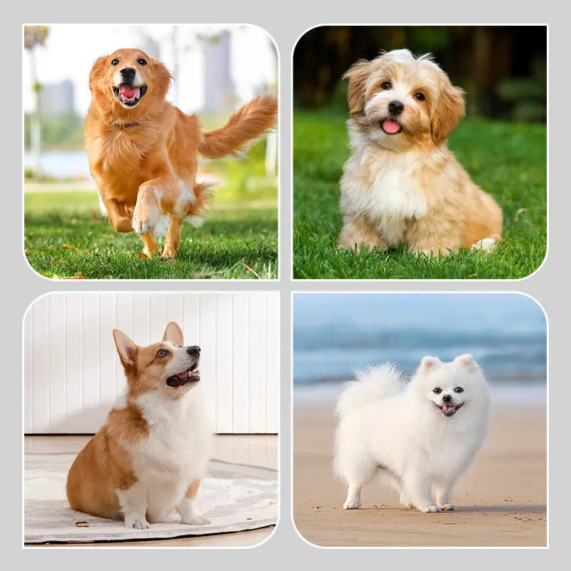 2 Pair Non-Slip Waterproof Dog Shoes for Safe and Happy Paws