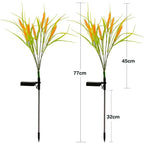 2 piece pack solar wheat ear lights