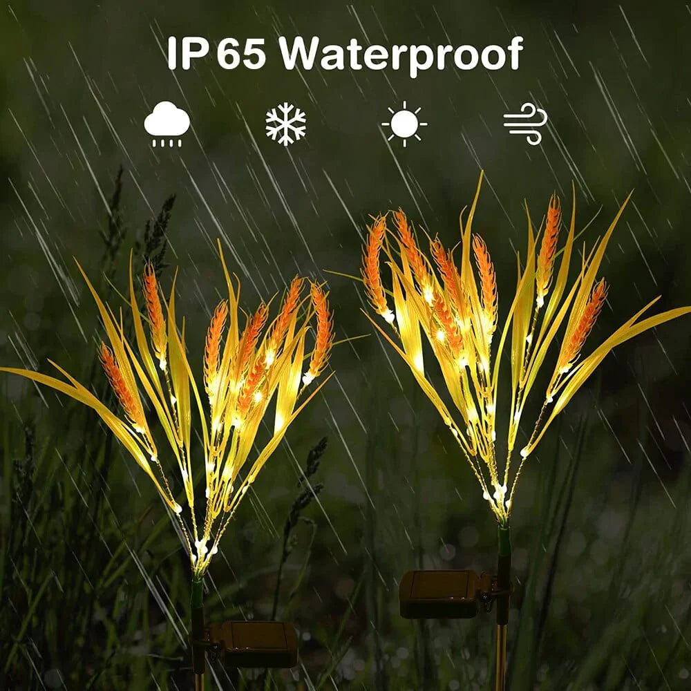 2 piece pack solar wheat ear lights
