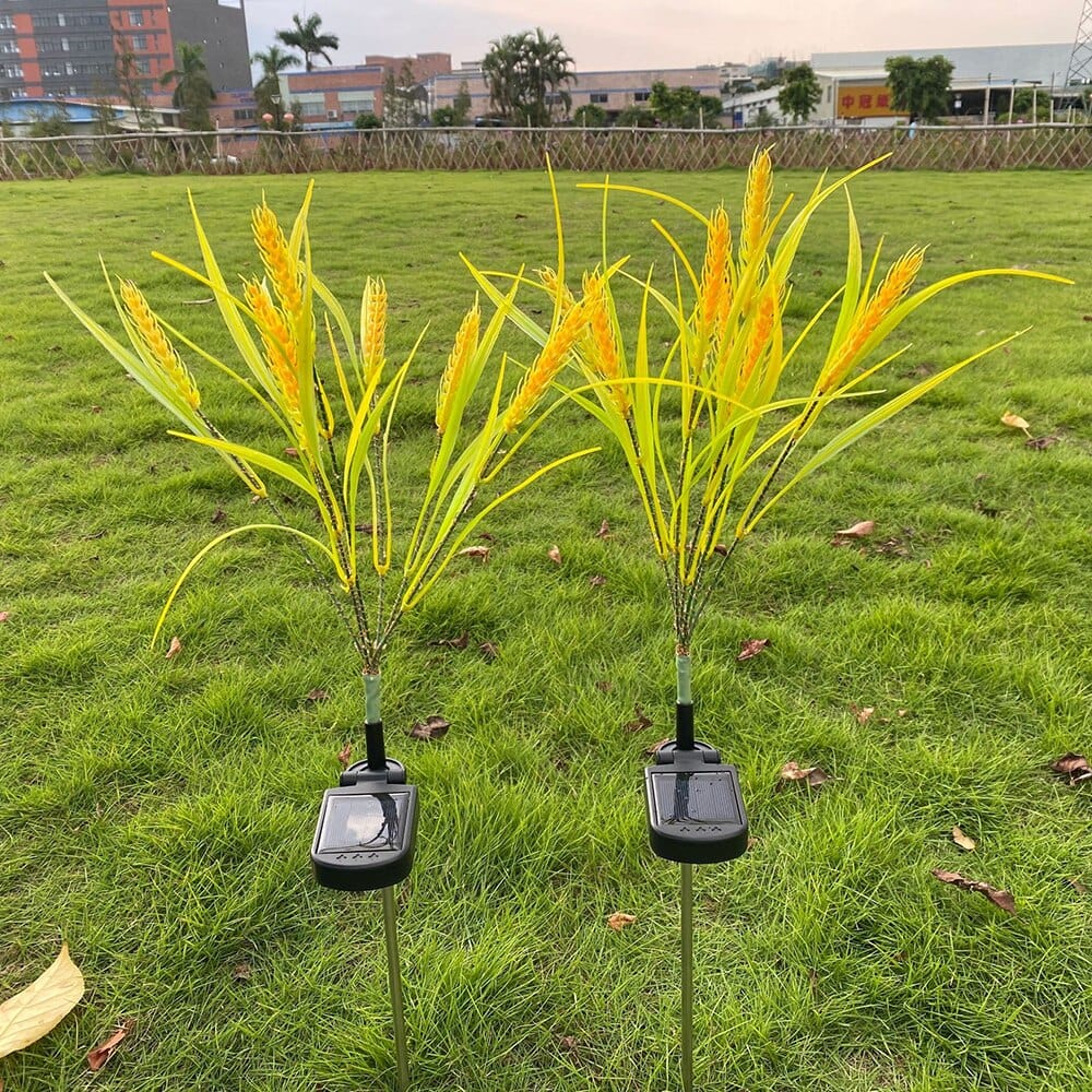 2 piece pack solar wheat ear lights