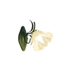 Stylish LED Wall Sconce with Floral Motif Combination of Nature and Elegance