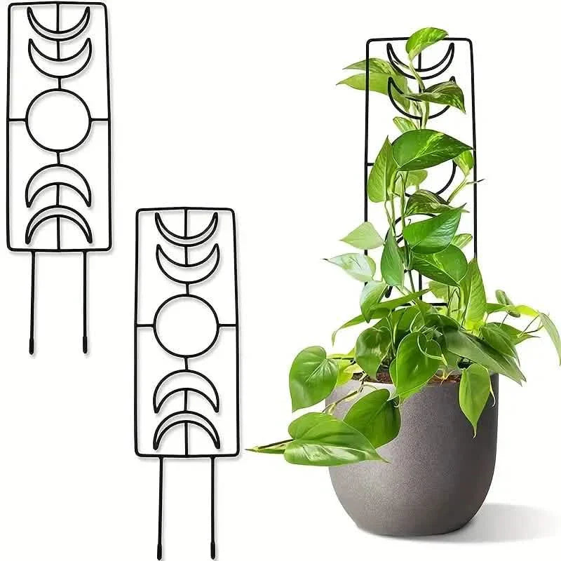 2-Pack: Metal Plant Frame for Climbing Plants Indoor