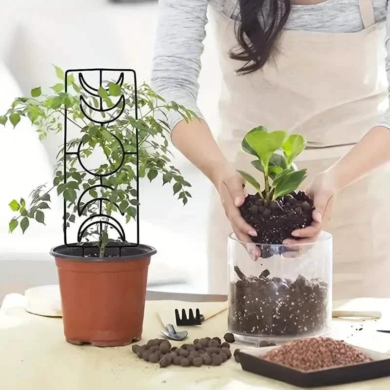 2-Pack: Metal Plant Frame for Climbing Plants Indoor
