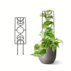 2-Pack: Metal Plant Frame for Climbing Plants Indoor