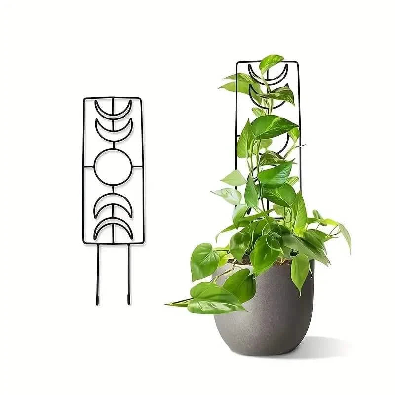2-Pack: Metal Plant Frame for Climbing Plants Indoor