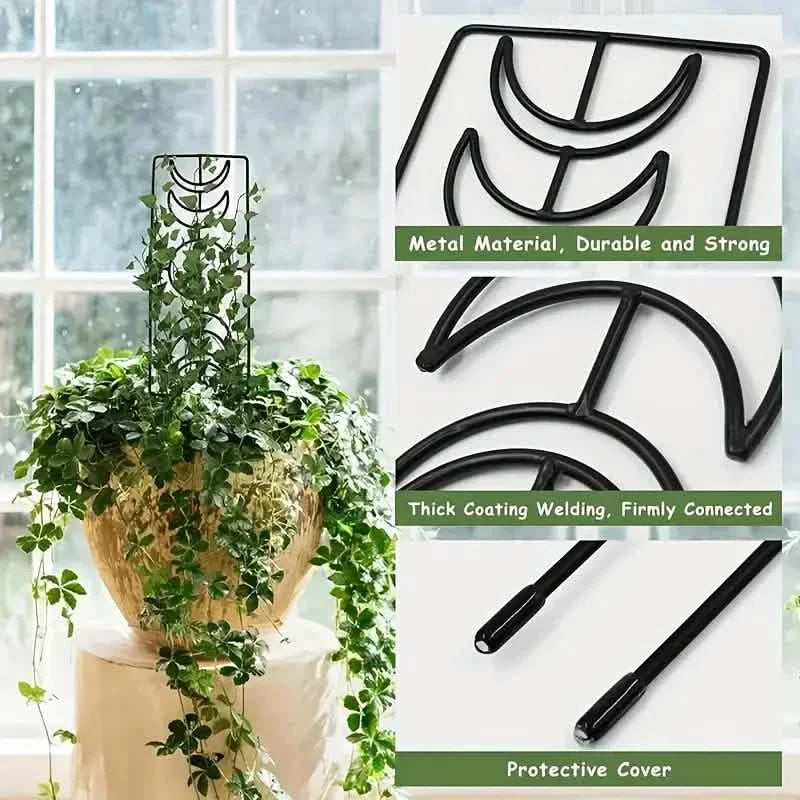 2-Pack: Metal Plant Frame for Climbing Plants Indoor
