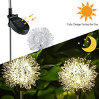 2-Pack: Outdoor Solar Dandelion Garden Lights