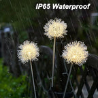 2-Pack: Outdoor Solar Dandelion Garden Lights