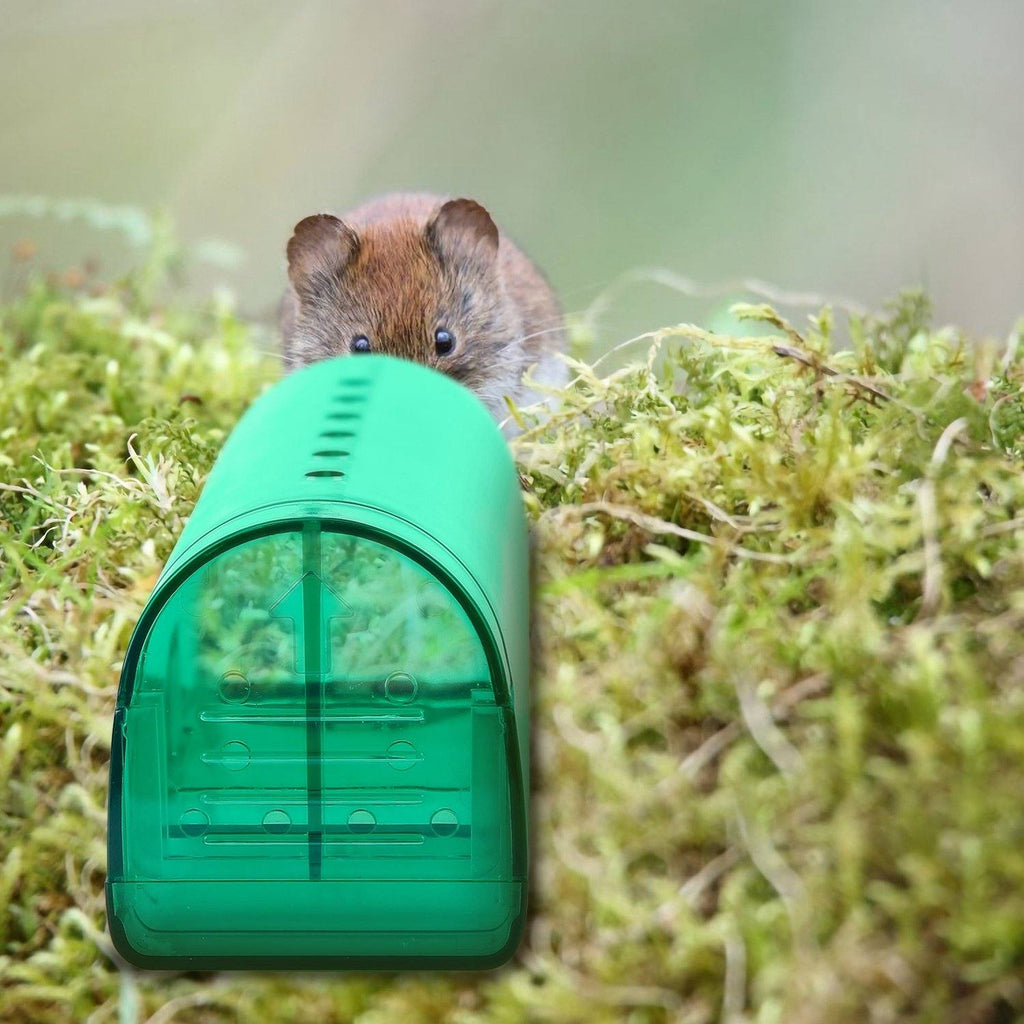 2-piece: Reusable Humane Mouse Trap