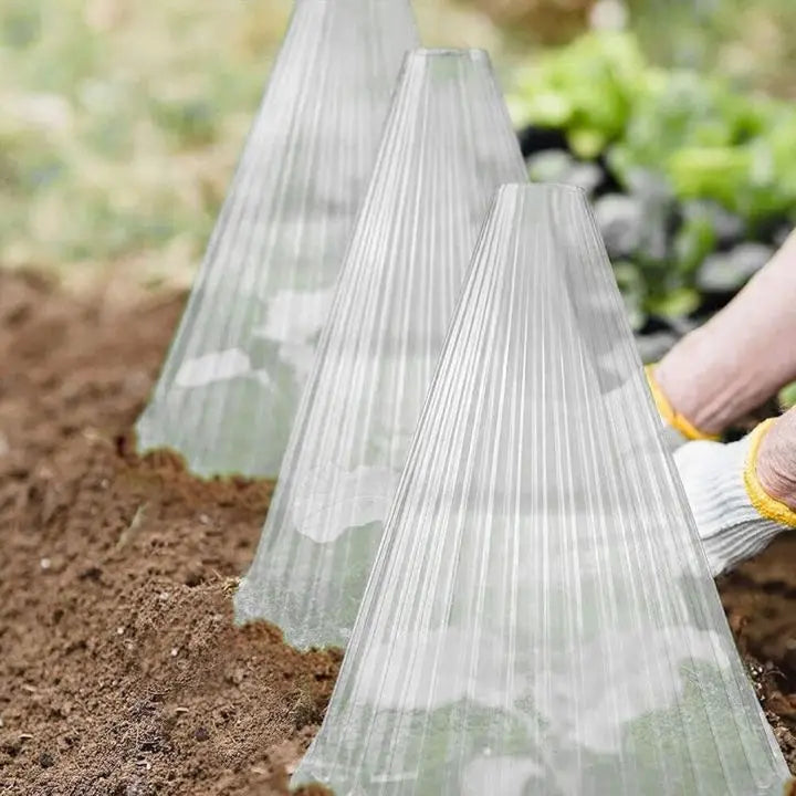 20 pieces plant pRedection caps for seedlings, vegetables & flowers