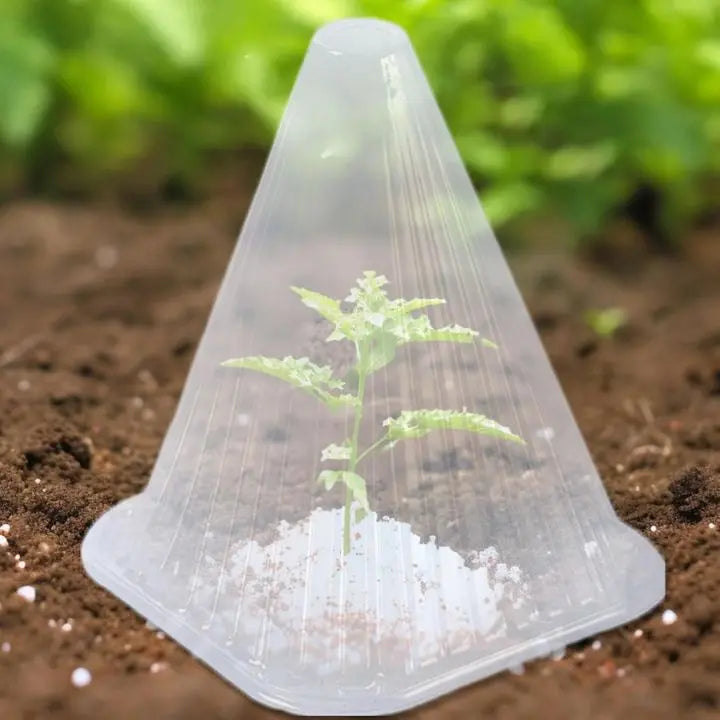 20 pieces plant pRedection caps for seedlings, vegetables & flowers