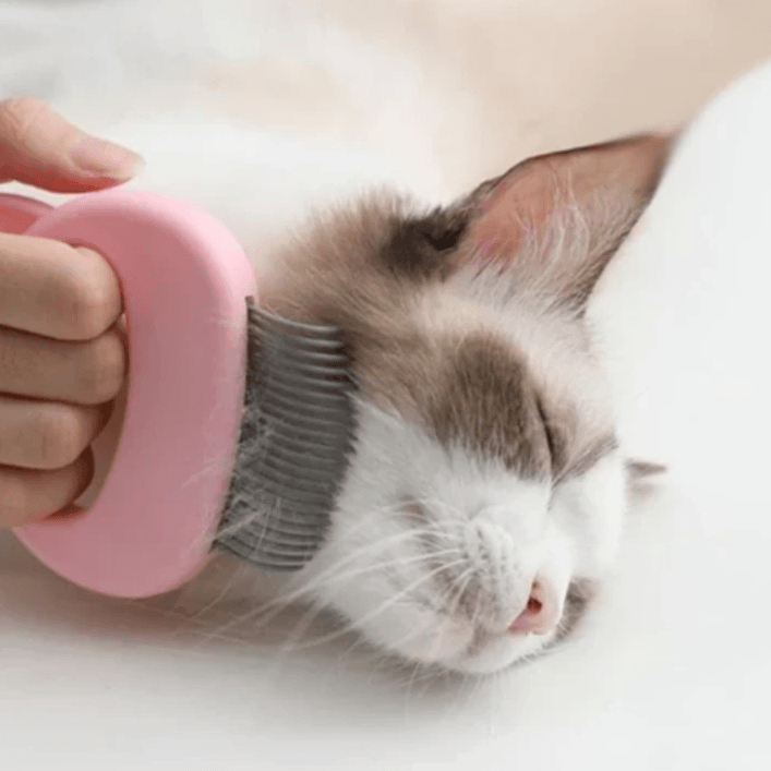 Mini Comb for Pets 2 In 1