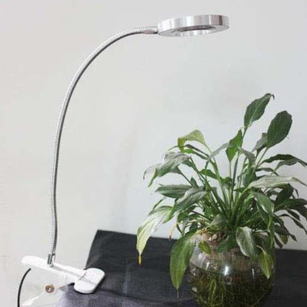 Creative simple USB pants button LED reading clip desk lamp