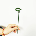 BloomBuddy Thriving Plant Growth