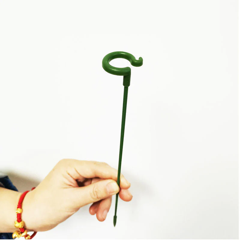 BloomBuddy Thriving Plant Growth