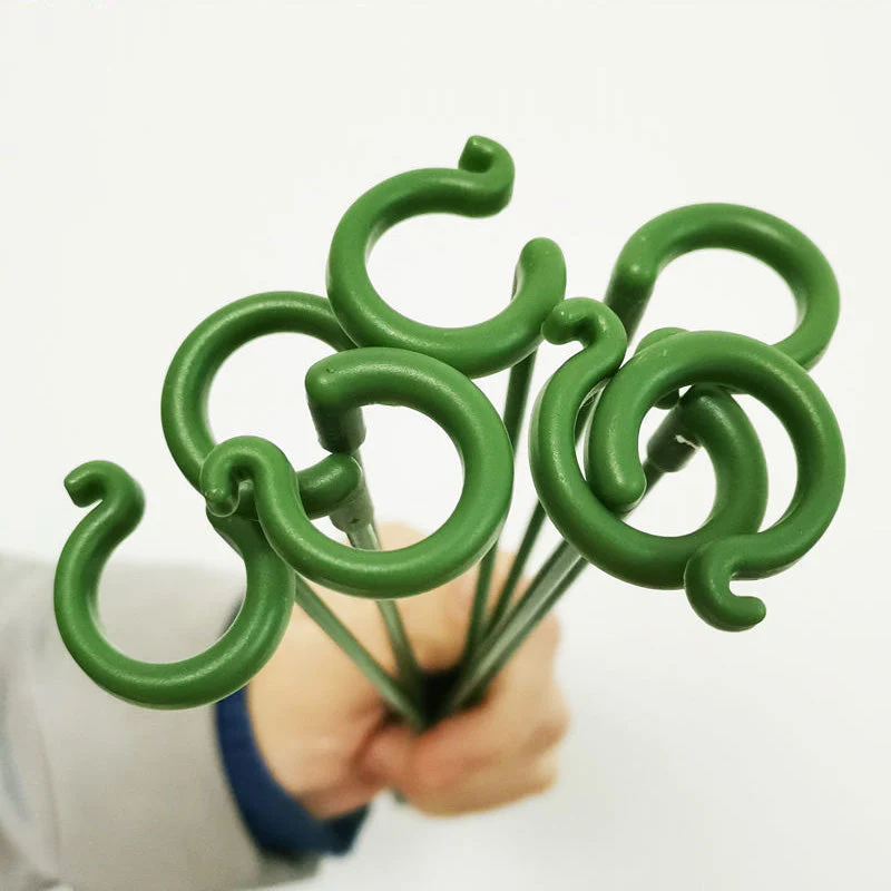 BloomBuddy Thriving Plant Growth