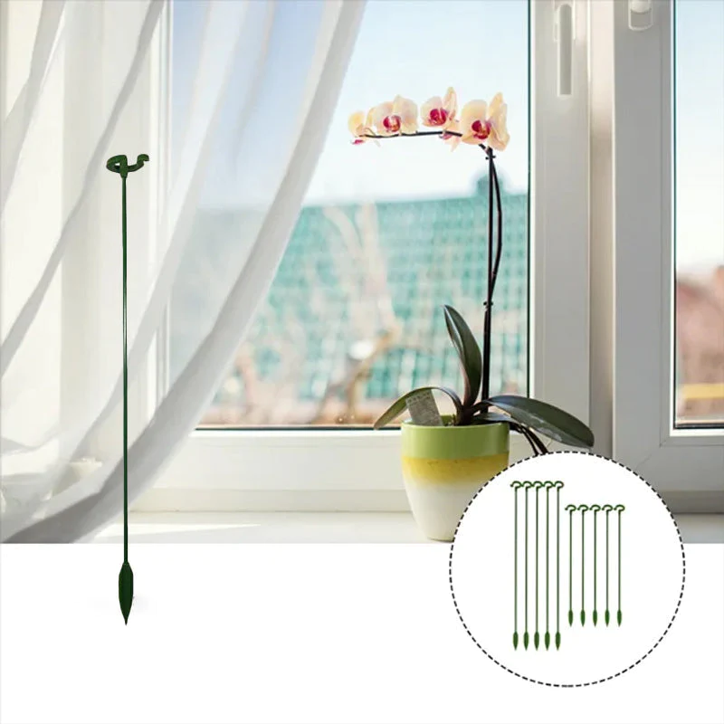 BloomBuddy Thriving Plant Growth