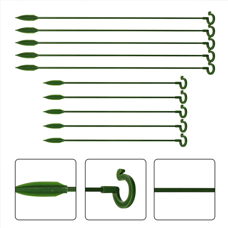 BloomBuddy Thriving Plant Growth