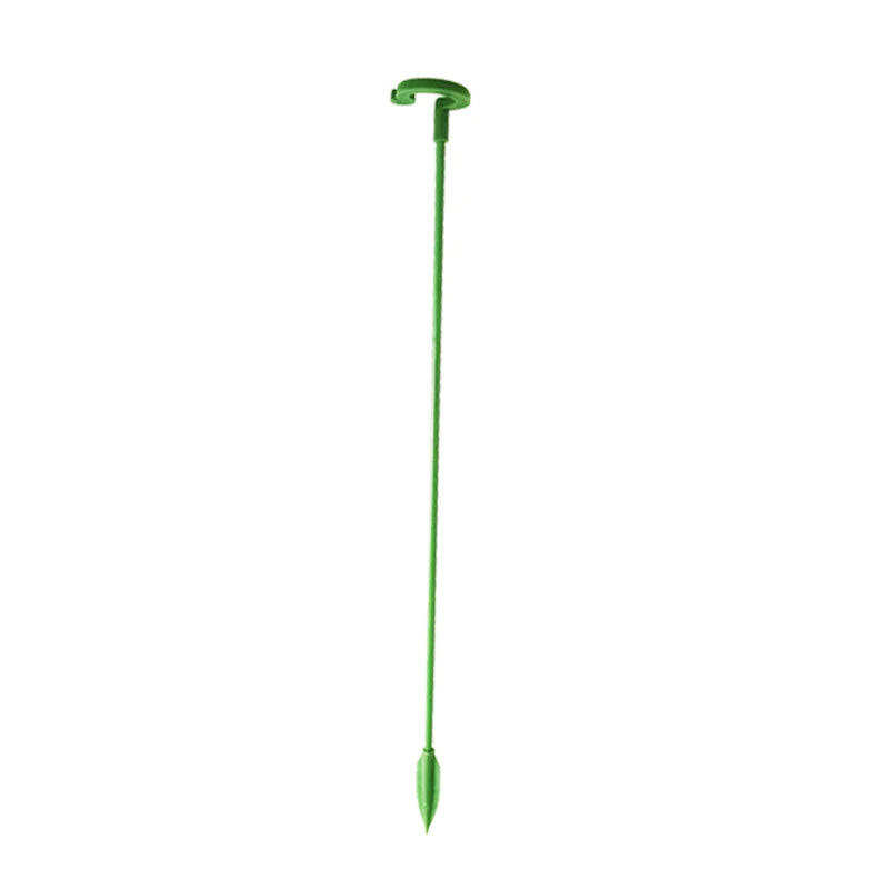 BloomBuddy Thriving Plant Growth