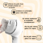 PetGlow | Experience the radiant softness