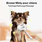 PetBrush | For a Healthy and Soft Coat