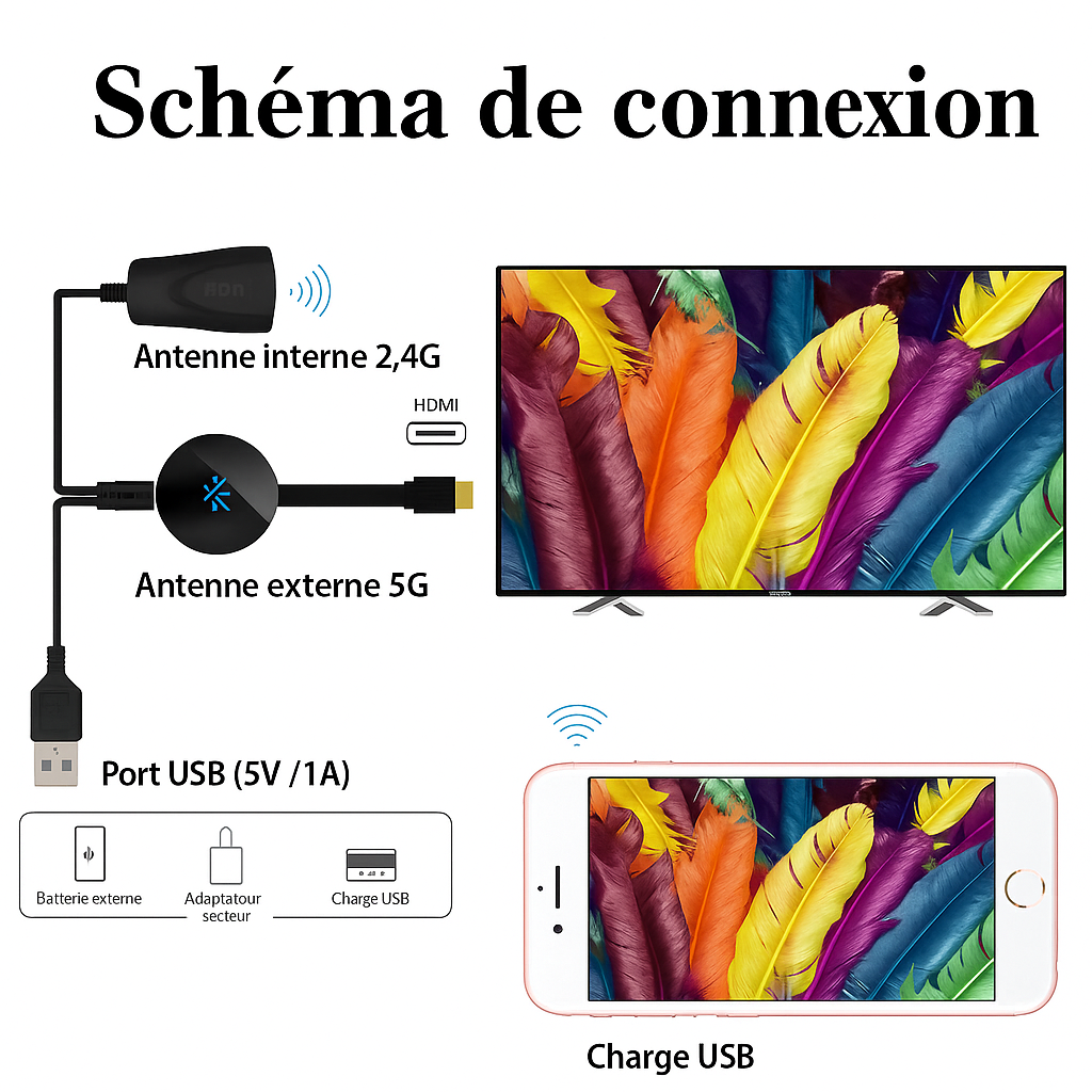 TéléLink | Transform Your Living Room Into a Cinema