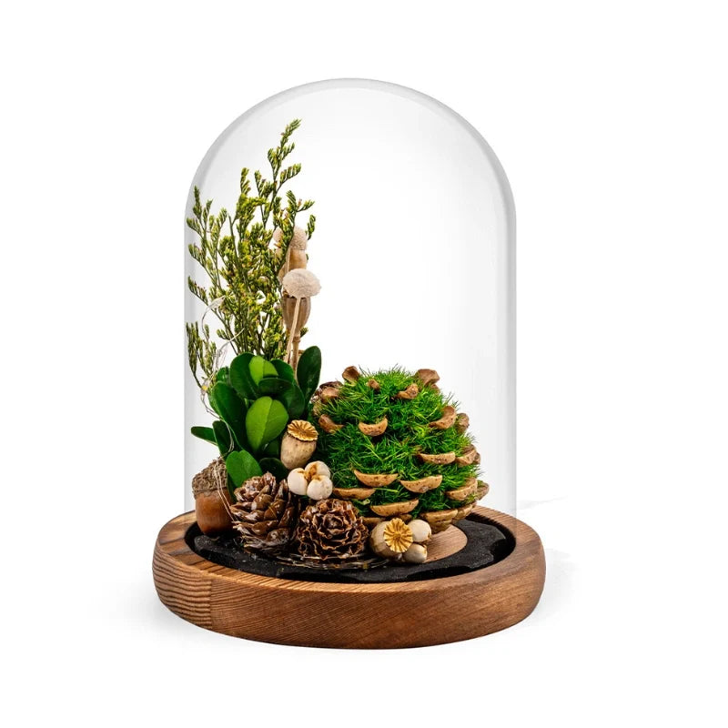 EternaBloom Night Light