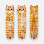 DryPaw - Keeps kitchen and bathroom clean and dry