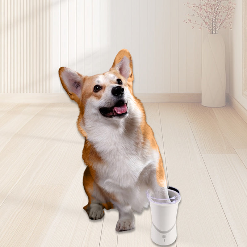 PawPerfection — Clean paws, stress-free walks full of feel-good moments