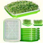Germination trays with lid – Double-layer seed sowing tray for effective seed germination
