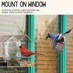 Bird feeder in the window for outdoor use