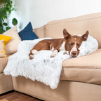 Water Repellent Dog Bed Protection with Soft Vegan Fur – Non-slip, Comfortable, Suitable for All Dog Sizes