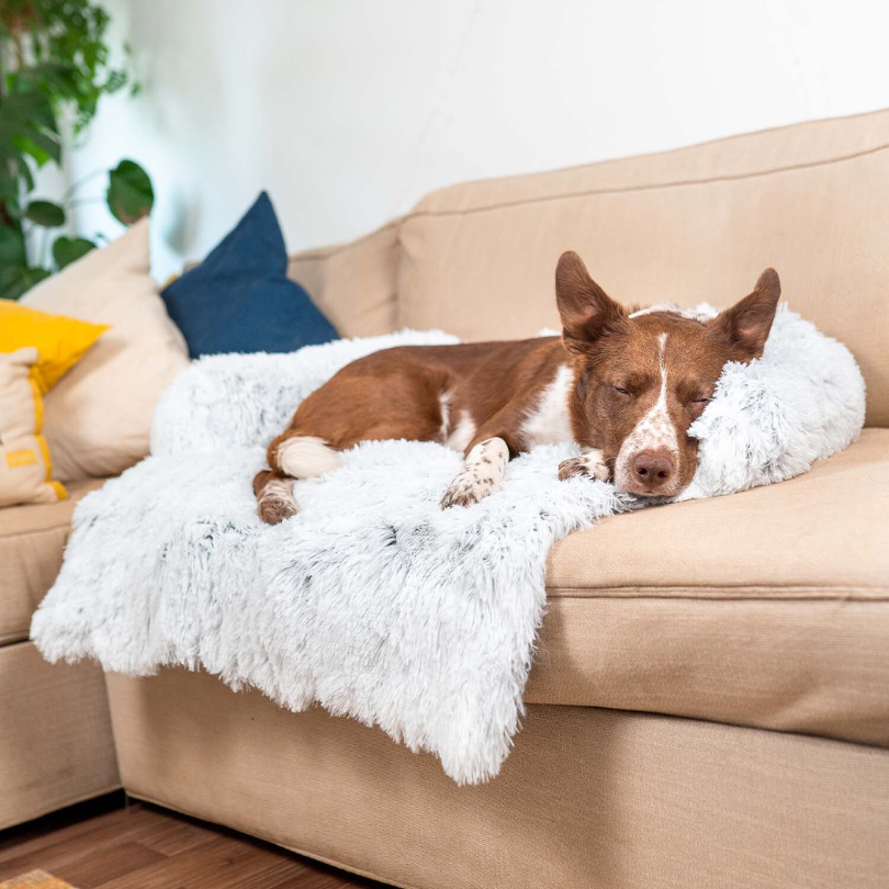 Water Repellent Dog Bed Protection with Soft Vegan Fur – Non-slip, Comfortable, Suitable for All Dog Sizes