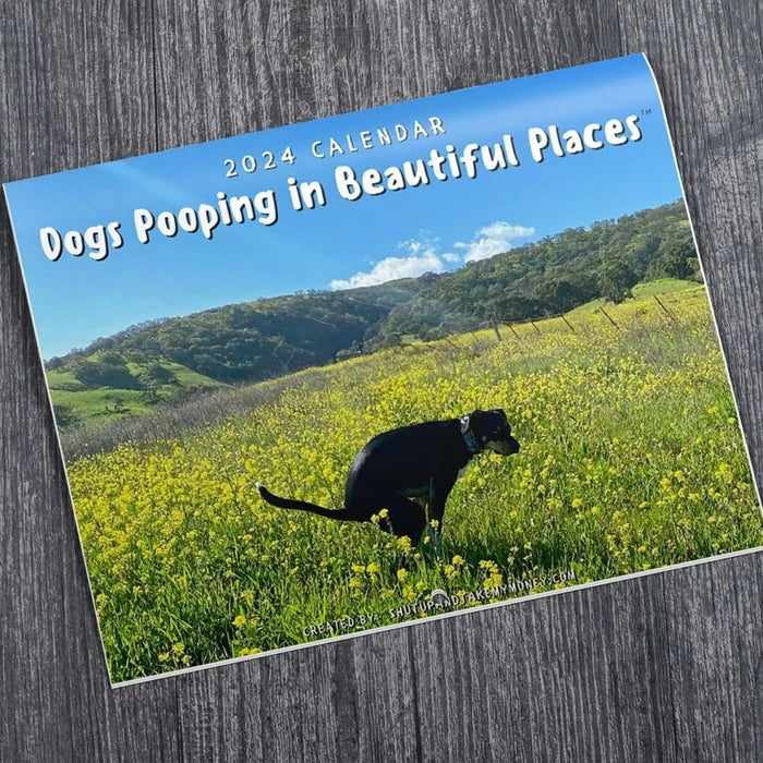 Funniest Calendar-Dogs Pooping in Beautiful Places | "Artistic Expression" of Furry Friends