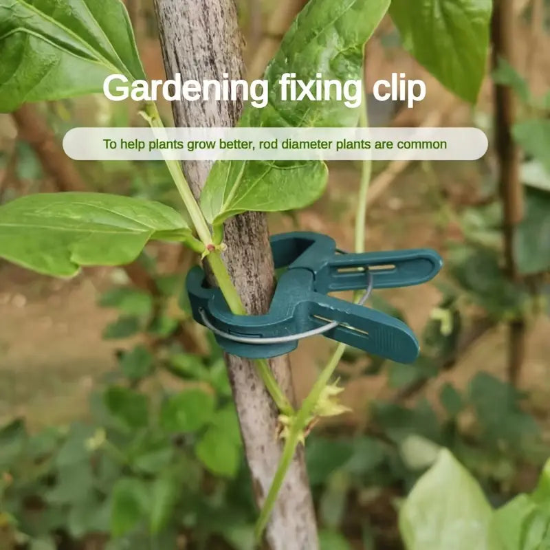 Garden clip set – plant loops for plant supports and garden care