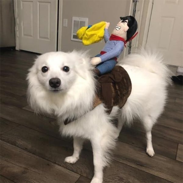 The Cowboy Rider Dog Costume
