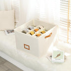 Collapsible Shoe Organizer Box with Transparent Lid and Dividers