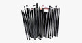 Essential 20 Piece Brush Set