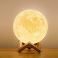 LED Table Lamp