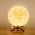 LED Table Lamp