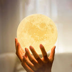 LED Table Lamp