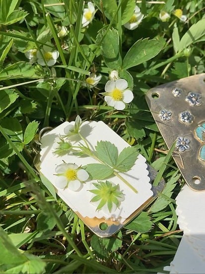 FloraKeep – Keep your beloved flowers fresh forever!