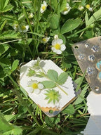 FloraKeep – Keep your beloved flowers fresh forever!