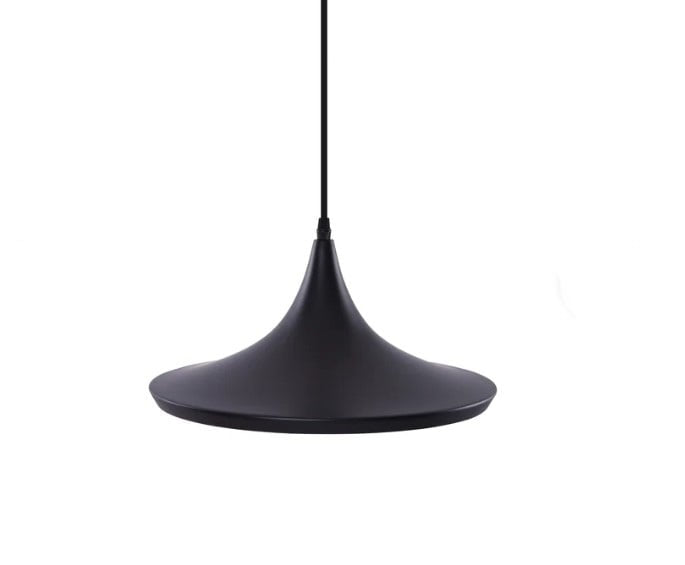 Tulip elegance in modern light