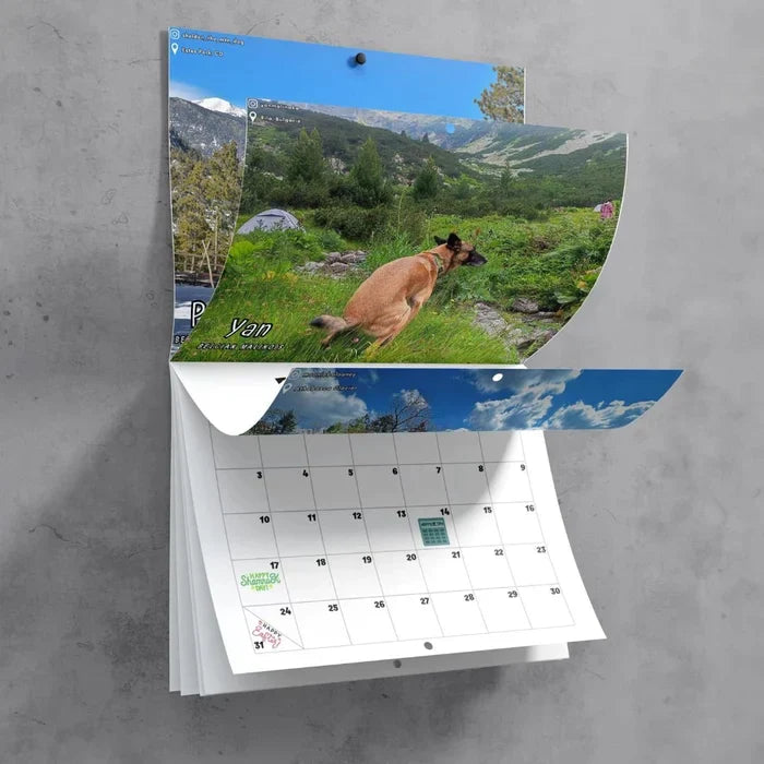 Funniest Calendar-Dogs Pooping in Beautiful Places | "Artistic Expression" of Furry Friends