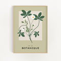 Botanique No. 6